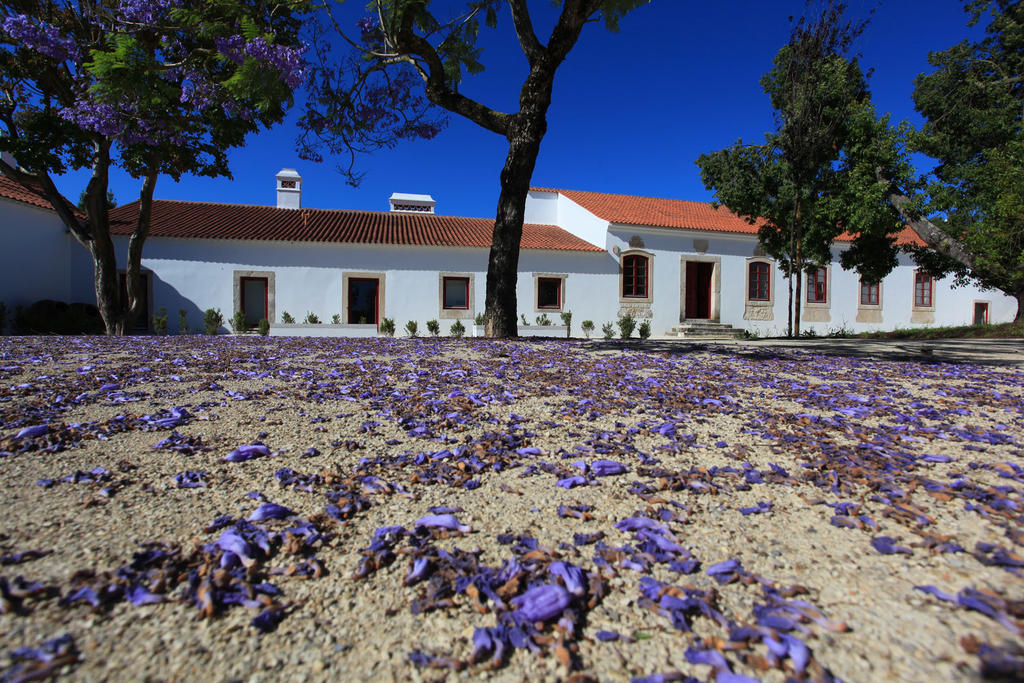 Hotel Quinta da Lapa Manique do Intendente Esterno foto